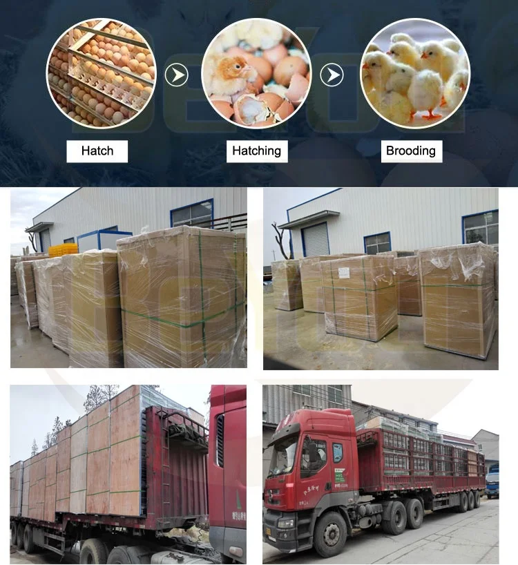 حاضنة بيض أوتوماتيكية بالكامل من باسيتي، حاضنة هاتشر ديجيتال متعددة المراحل 5280 قطعة بيض Ca