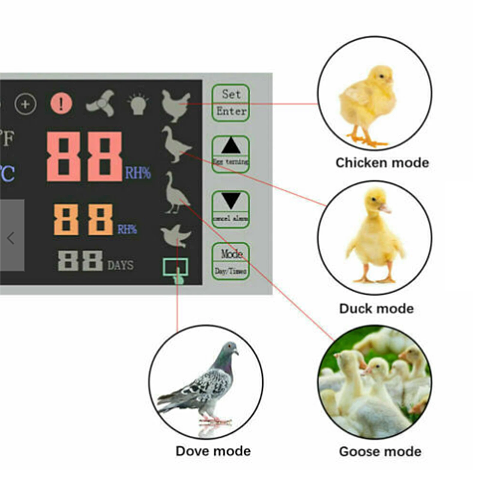 Egg Incubator Egg Hatching Incubator Power Off Memory Egg Incubator Machine with Temperature Humidity Sensor Probe for Chicken