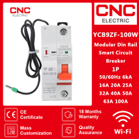 CNC 1P WiFi Smart Circuit Breaker Short Circuit Protection Timed Smart Reclosing Switch Remote Control