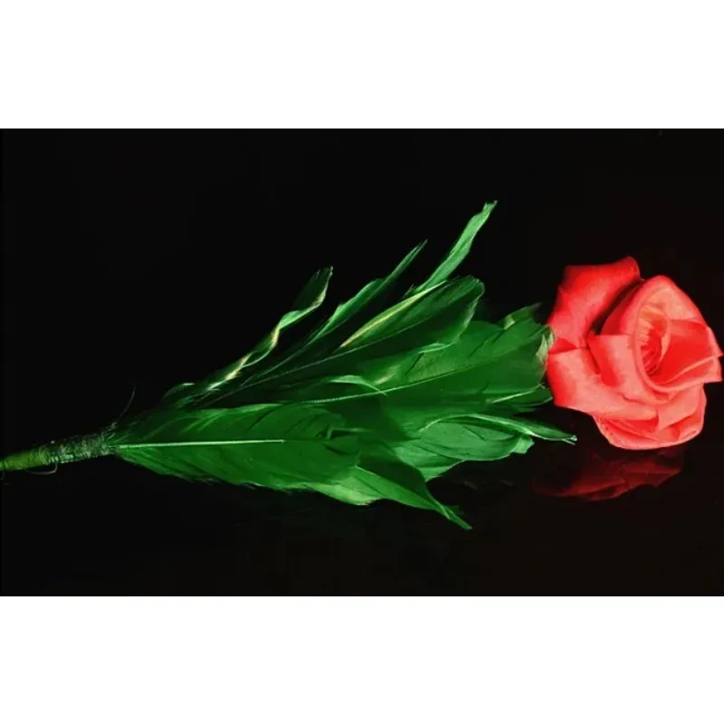 trucos-de-magia-rose-to-canes-flor-a-panuelo-dos-bastones-ilusiones-escenicas-accesorios-de-magia-comedia-profesional
