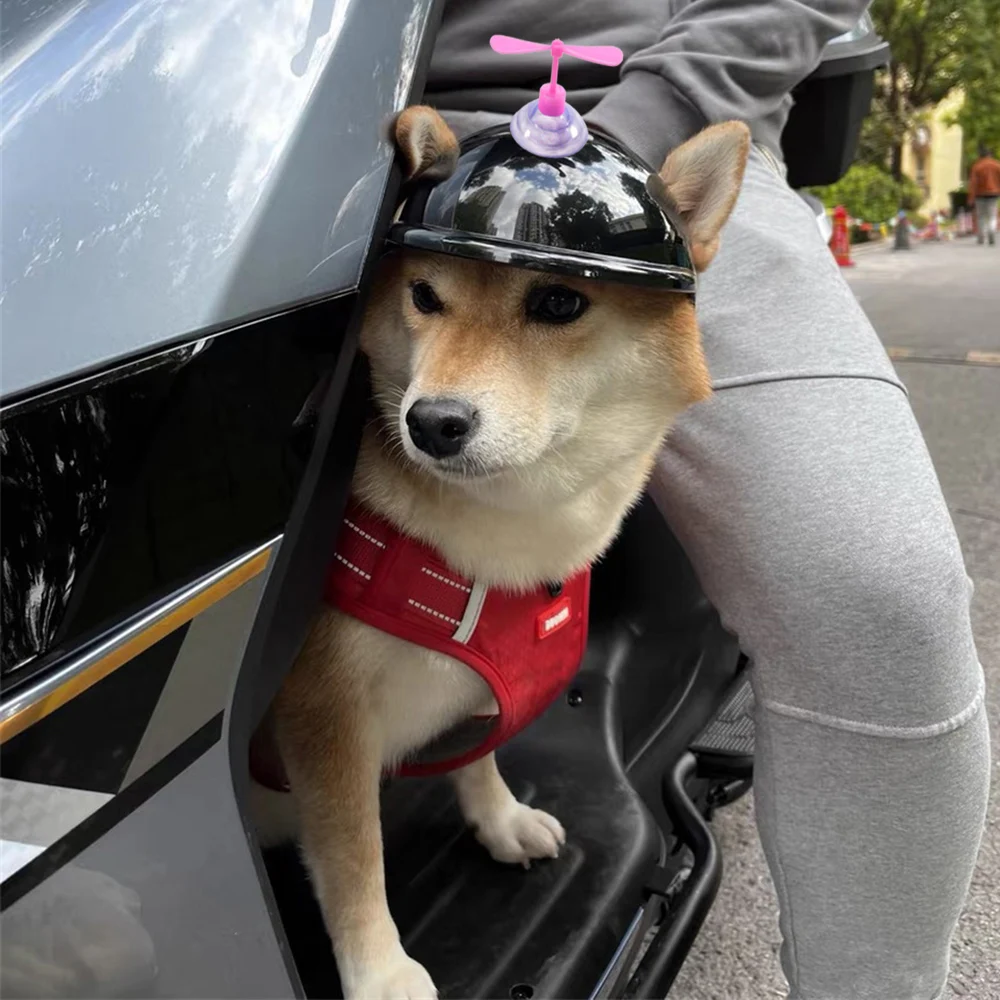2Pcs Dog Safety Helmet and Bamboo Dragonfly/Goggles Pet Accessories Adjustable Dog Helmets for Small Medium Dogs Outdoor Riding