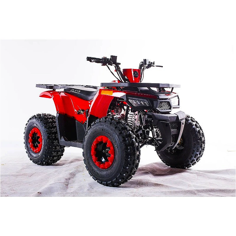 Sport ATV 250cc Quad Bike Manual 5 Speed Transmission High Performance Suspension For Beach Dune Racing Adventure Customized
