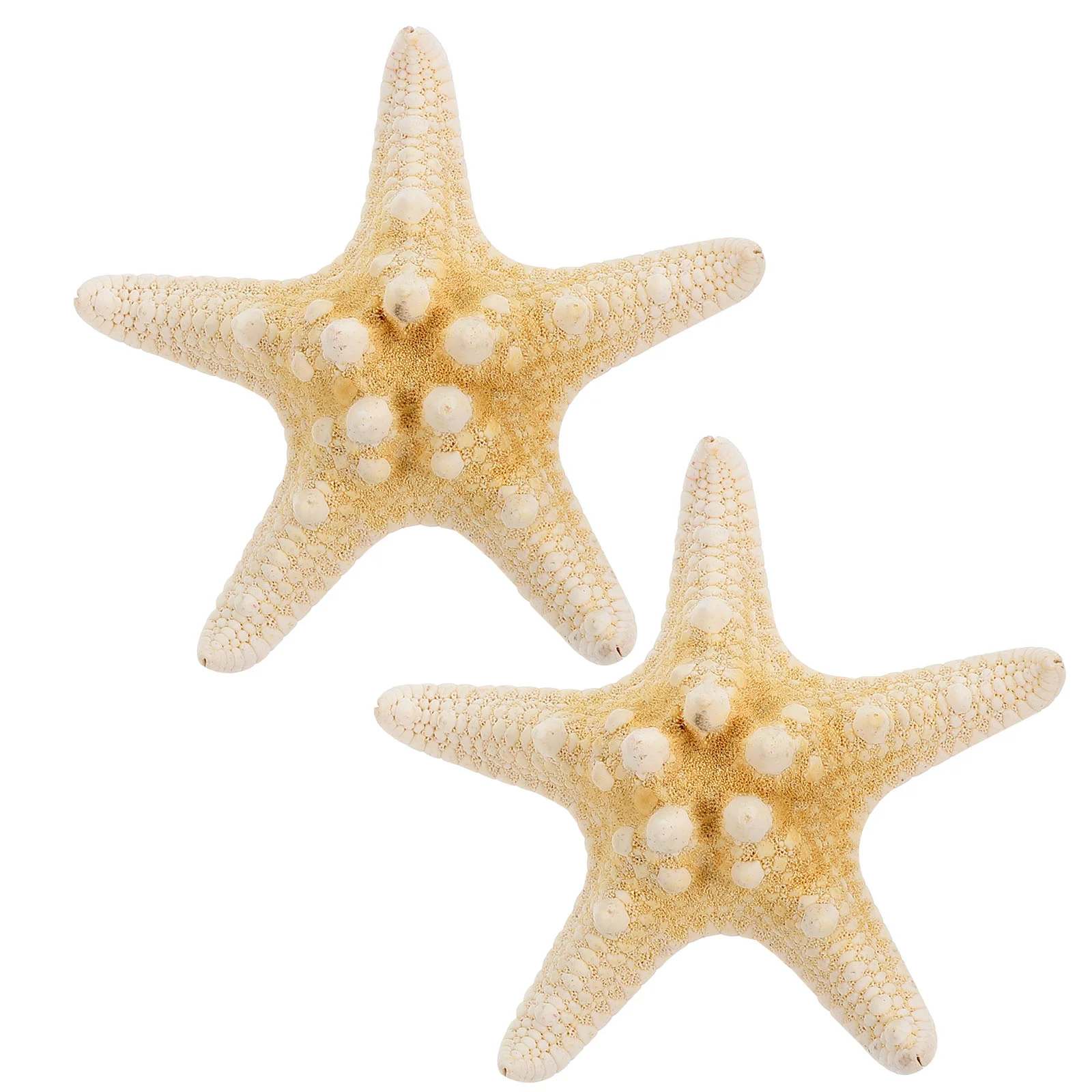 2 Pcs Modeling Accesories Mini Seashell Claw Clips for Hair Resin Five-pointed Star Hairpin