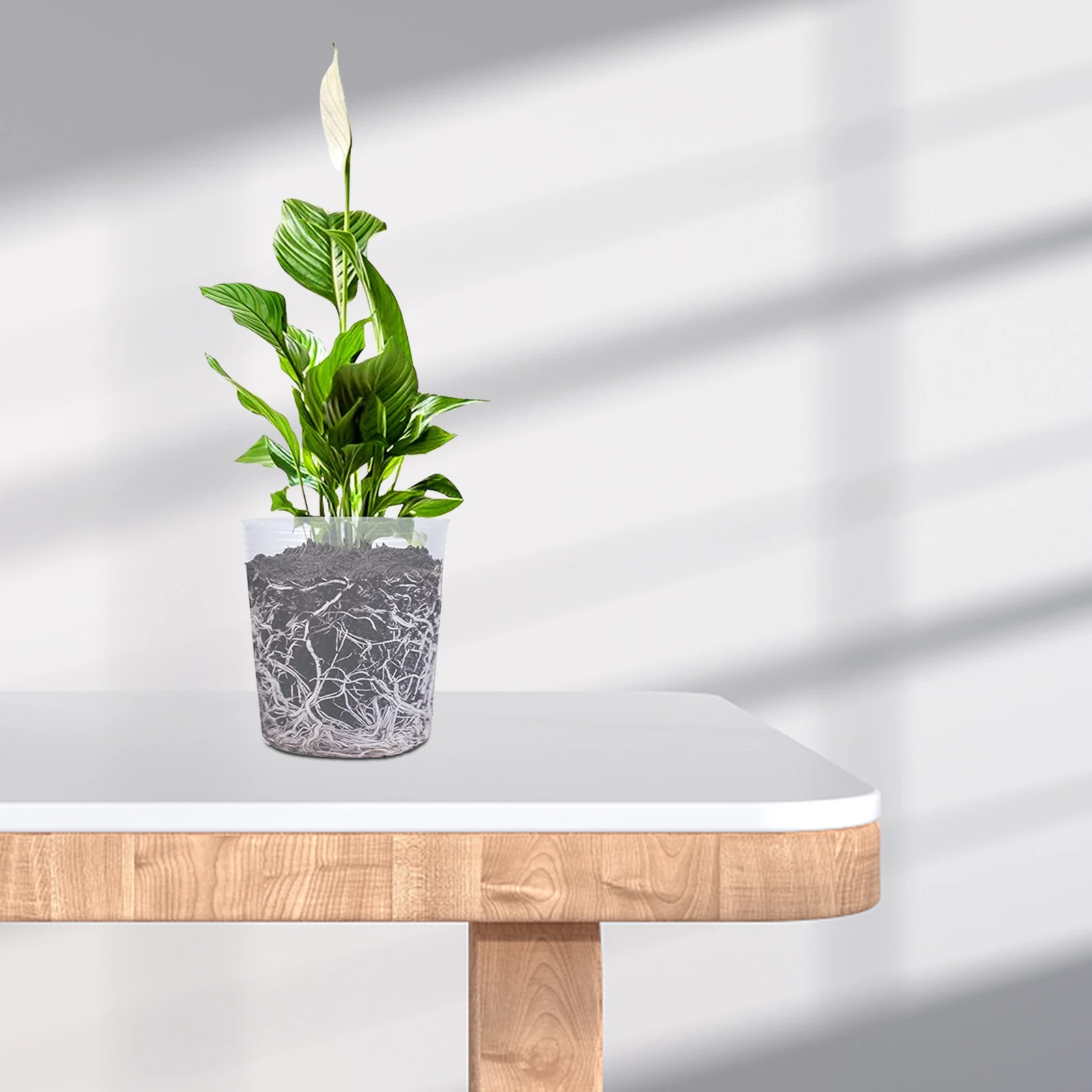 

40pcs Pots Transparent Plastic Plant Containers for Gardening Balcony Clear Pots For Plants Park Flower Pot Starter