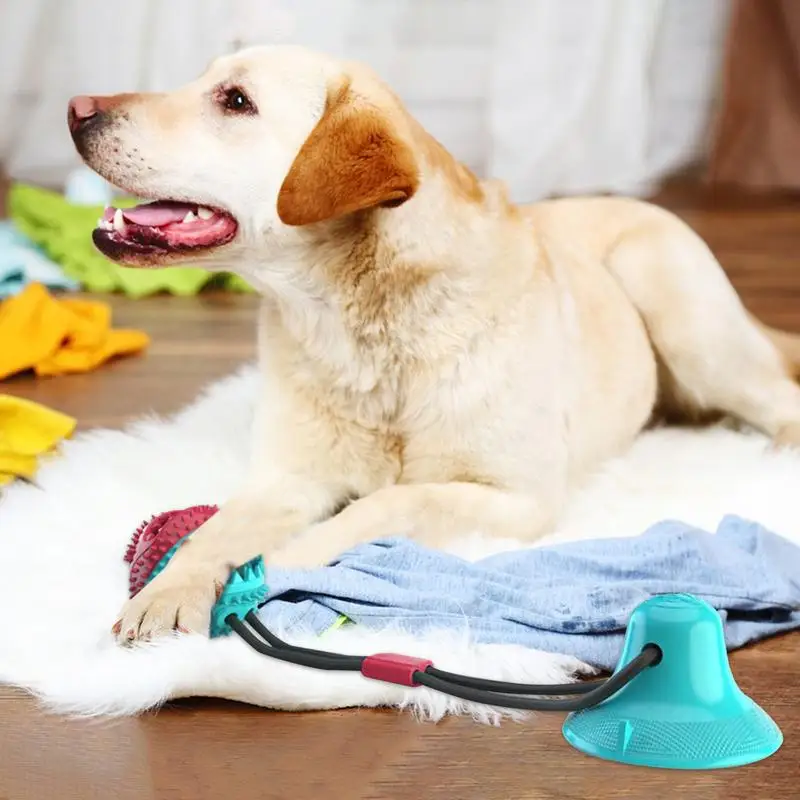 Juguetes para masticar perros, juguetes interactivos suaves para masticar, alimentador lento resistente a mordeduras, juguetes para mascotas, Bola de Limpieza de dientes de perro con ventosa para