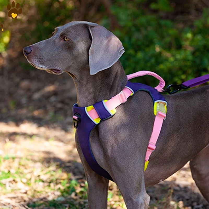 

Dog Harness,Sports Style Pet Harness,Reflective Webbing Leash for Pet Safety,Suitable for Most Dogs