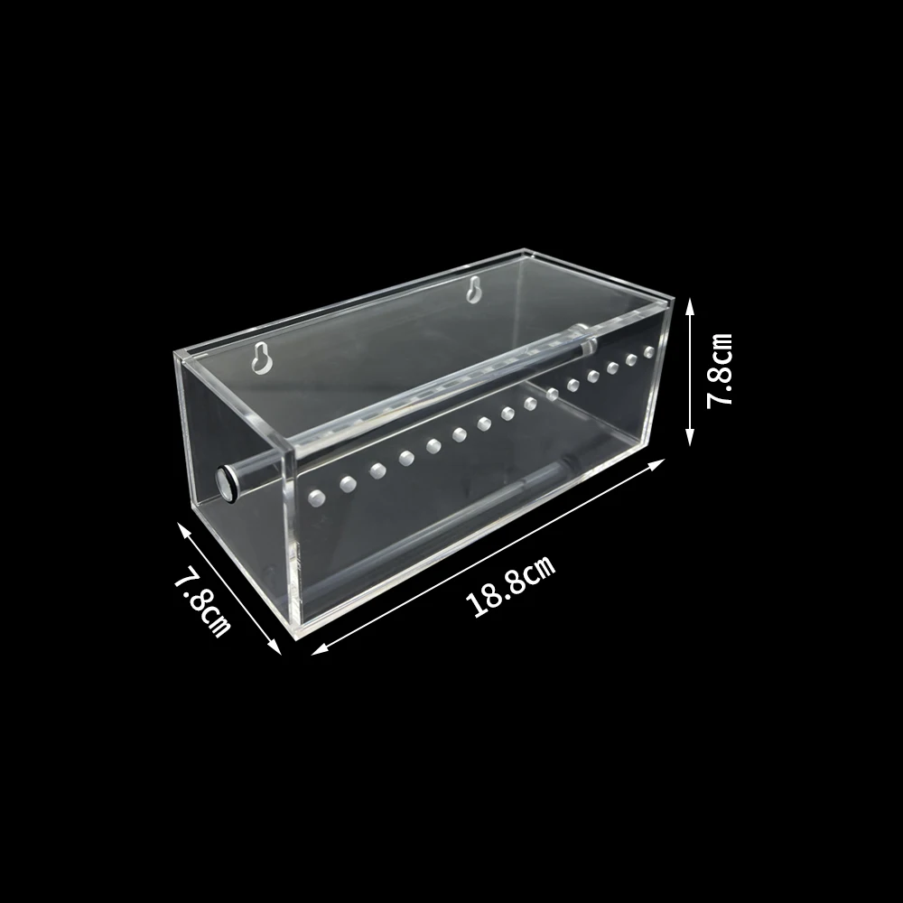 Caja de cadena de energía de ortodoncia Dental transparente, organizador de cadena Dental acrílico, bandas de goma elásticas, dispensador de cadena, estuche de almacenamiento