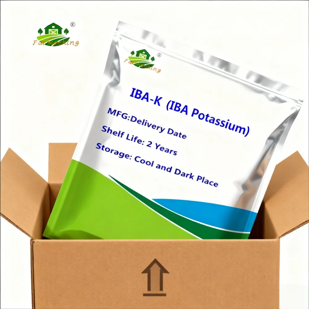 98% IBA-K (C12H12KNO2) Potássio ácido indole-3-butírico solúvel em água: regulador de enraizamento de alta qualidade
