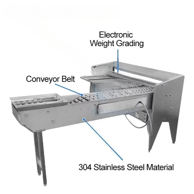Automatic Multifunction Small Egg Size Grade Washing and Sorting Machine Chicken Egg Sorting Grading Machine for Sale