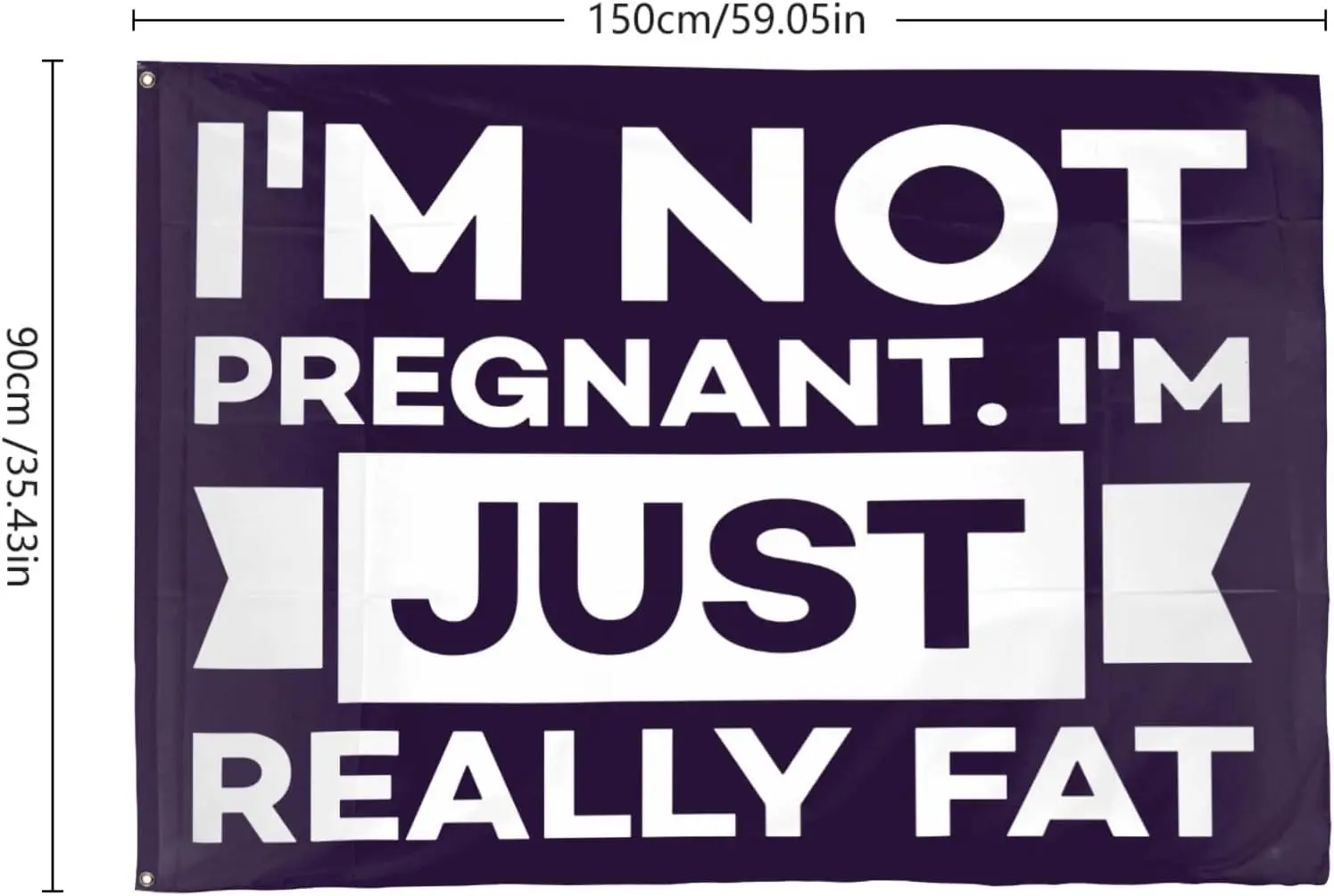 Flagicts 100% Polyester I'm Not Pregnant Just Really Fat Flags