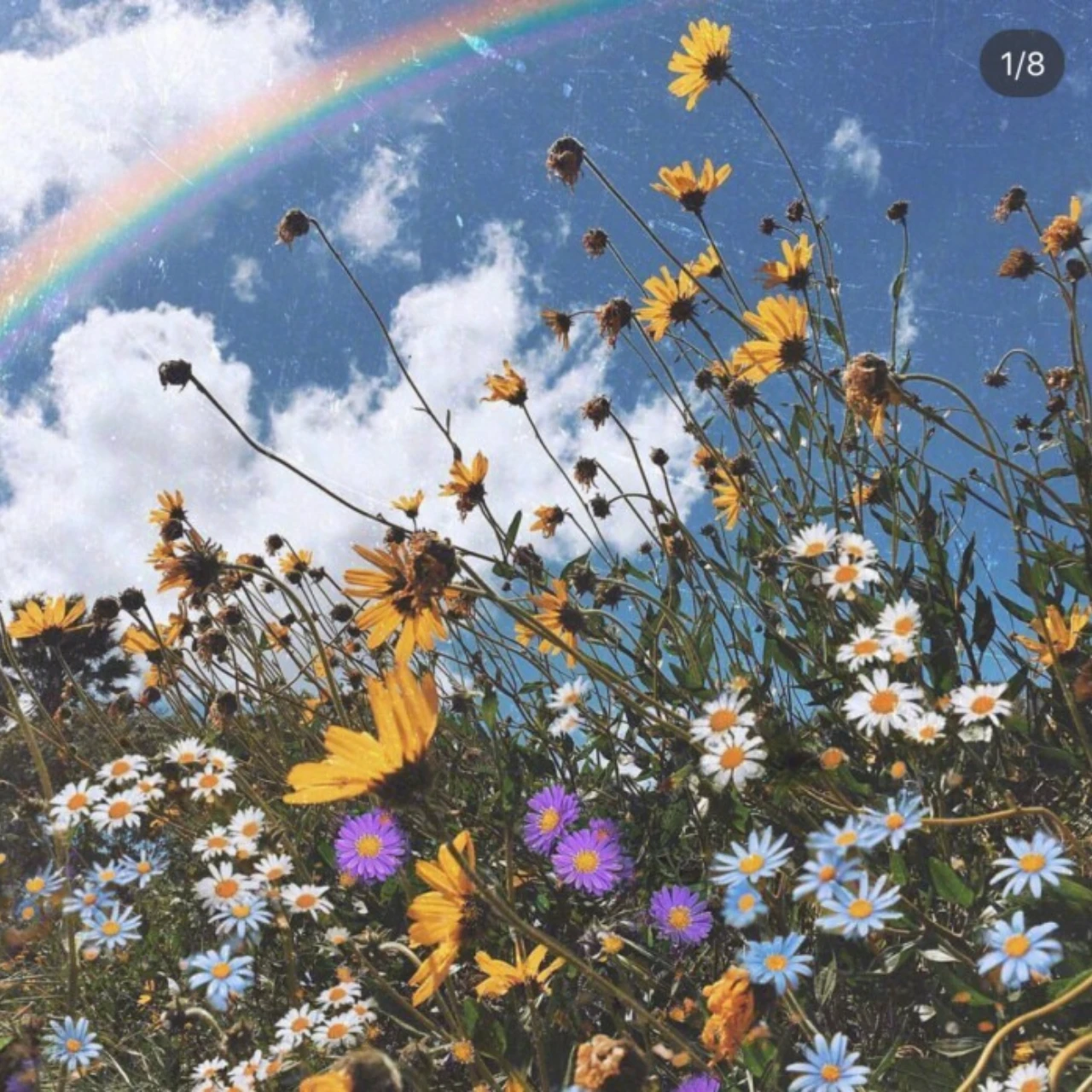 

GPM Harden Steel # 45 передних шарниров CVD для LOSI 1/6 Super Baja Rey