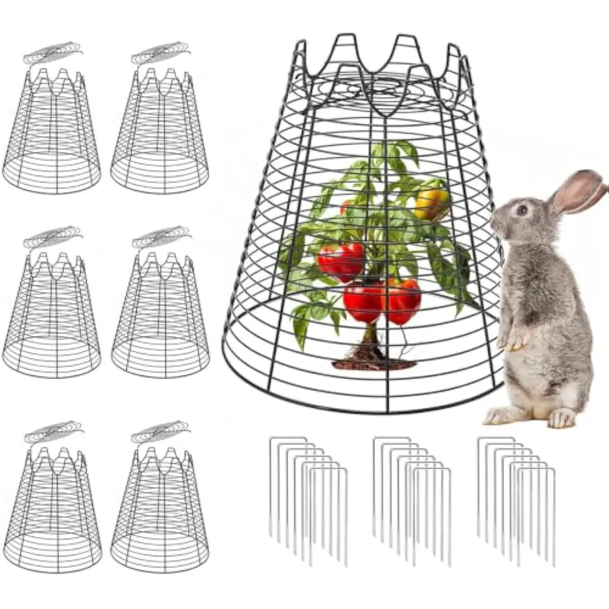 6 durable black metal plant cloches 11.6x11.6 inches each—rustproof wire frames with open airflow design for sun rain and ventil