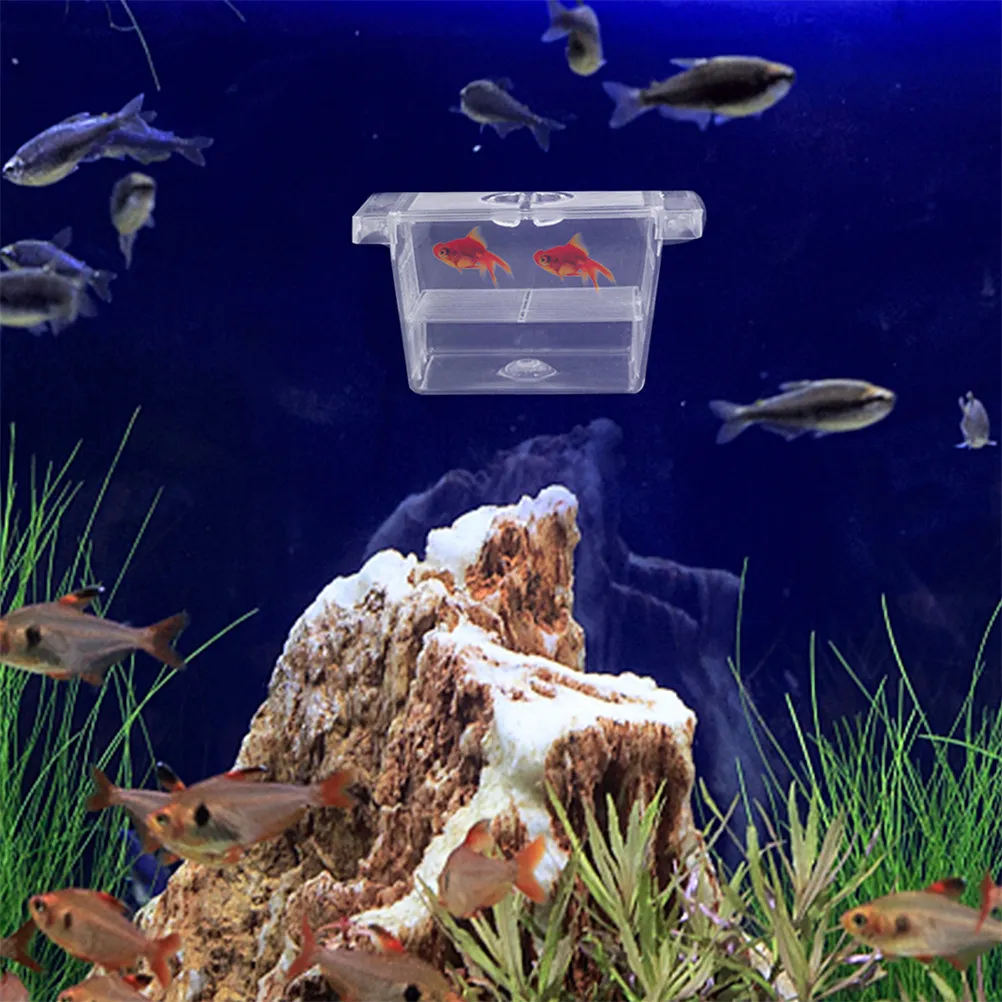 4Pcs Aquarium Fish Fry Box Self-Floating Double-Layer Breeding Incubator for Betta Shrimp Hatchery Transparent Monitoring Easy