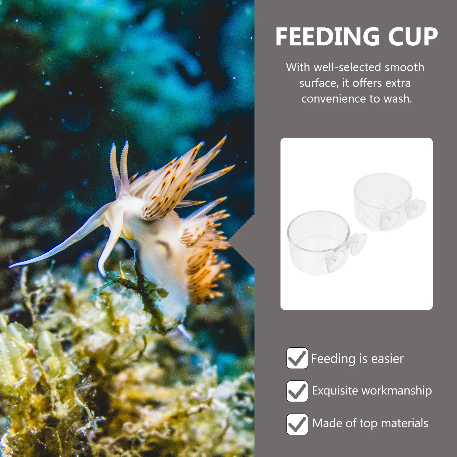 

2pcs Aquarium Plate Feeding Tools Feeding Cups Premium Plastic Fish Food Holder Red Worm Bloodworm Feeder Tank Wall Shrimp