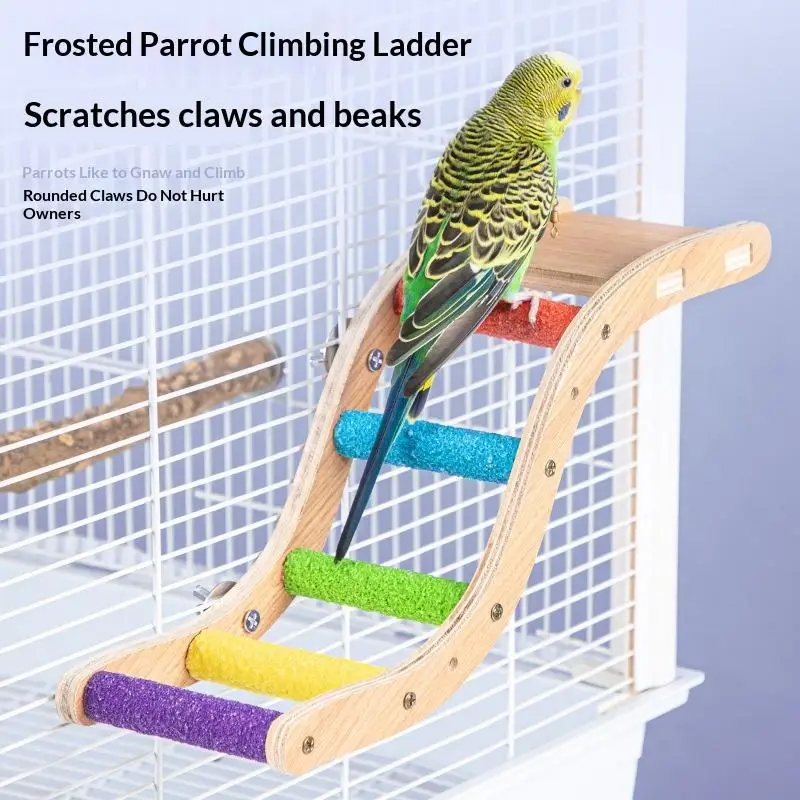 Thumbnail 3 - #34 Best Bird Ladders & Perches to Buy In 2026