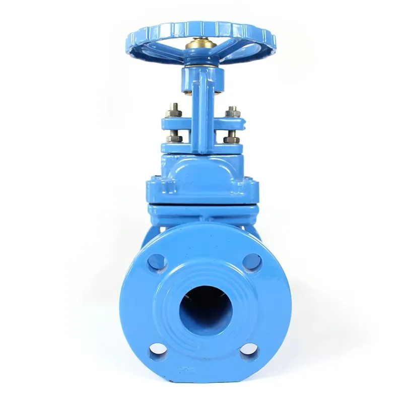 High Quality Pn10 Rising Stem Rising Spindle Gate Valve Dn250 Cast Iron, Ductile Iron Standard Water Manual Medium Temperature