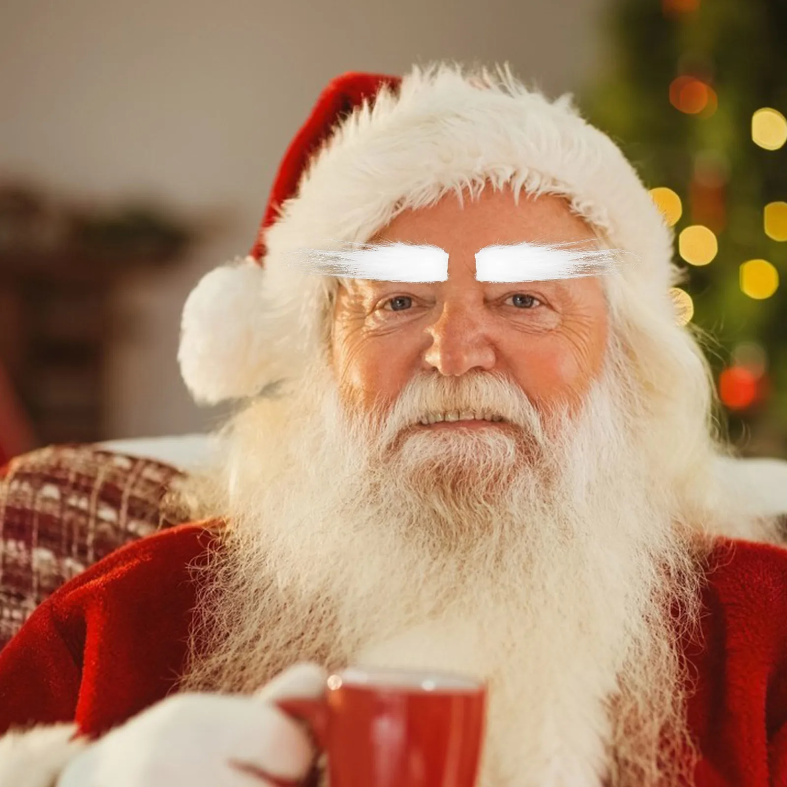 

2pcs Santa Party Masquerade Costume Props Props Decor Accessories Holiday Carnival