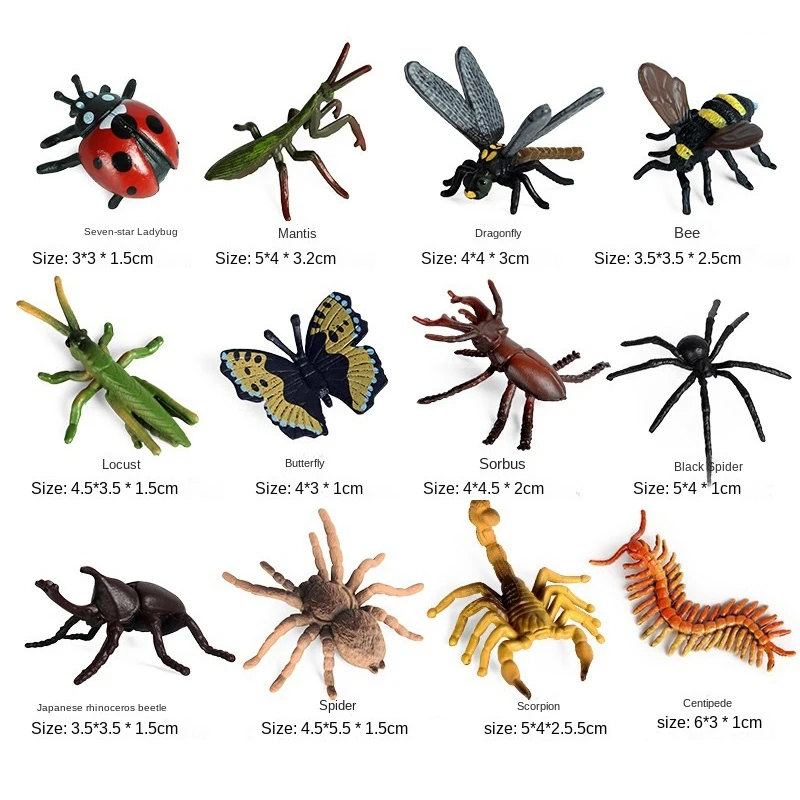 12PCS Realistic Bugs Figures Toys Bee Beetle Mantis Spider Ladybug Butterfly Scorpion Figurines School Project For Kids