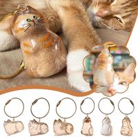 Cat Fur Memorial Charm Resin Keepsake Capsule for Pet Hair Portable Keychain Pendant for Hair Rainbow Bridge Pendant