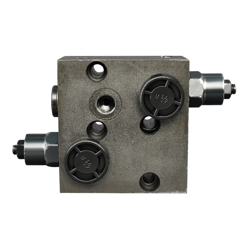 Hydraulic valve Double balance valve/relief valve with BMR/BMS cycloid oil