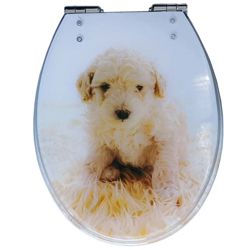 Resin Toilet Seat Cover U-type VO Type Universal Thickened Waterproof And Rust-proof Toilet Seats with Solid Seat Ring