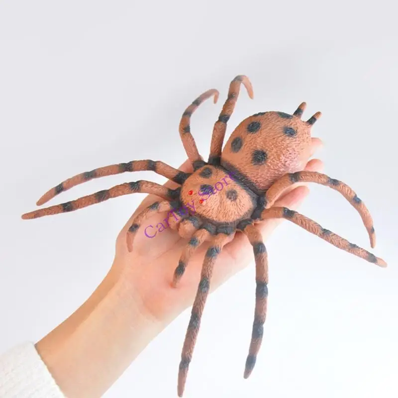 Estatueta modelo insetos PVC, treinamento observação haste, brinquedo aprendizagem científica, 3 peças