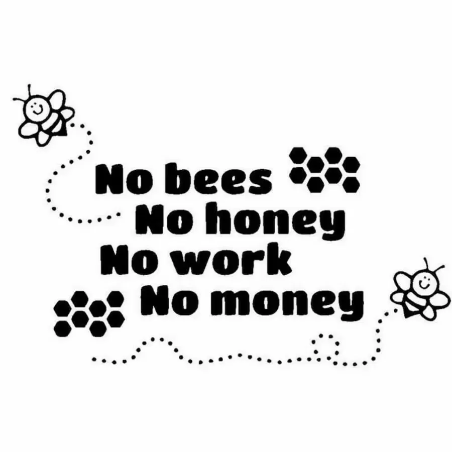 18 x 11.4CM, no bees, honey, no job, no money, design car windows, bumpers, vinyl decorations, car stickers