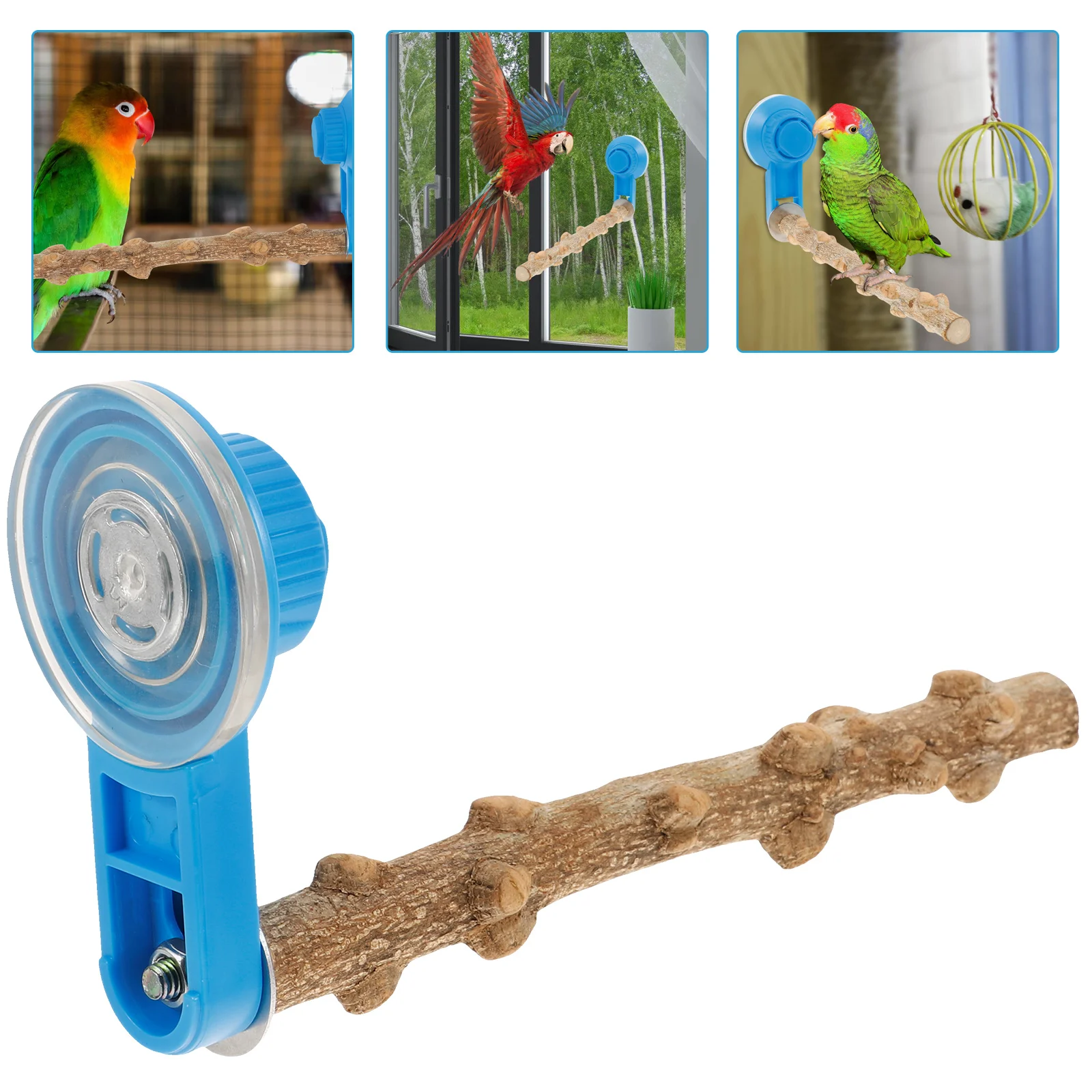 

Cup Bird Perch Wooden Parrot Stand Compact Toys Bite Resistant Accessories Window Mount Training Balancing Beak Trimming