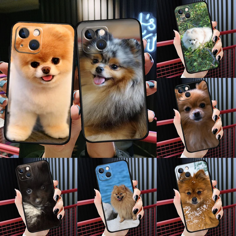 Pomeranian Dog Phone Case For iPhone 15 12 13 Mini Plus X XR XS 11 14 Pro Max Back Cover Shell