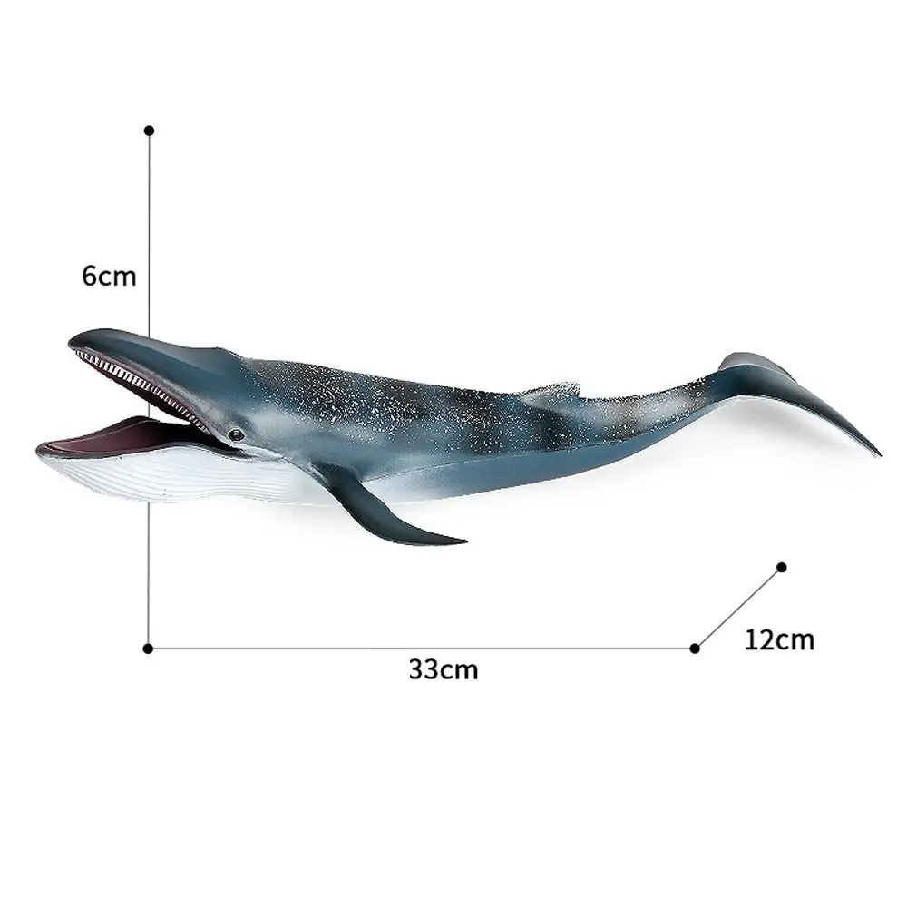 Large Blue Whale Action Figure Toy Realistic Plastic Big Shark Fish Model Handmade Wild Whale Desktop Ornament view 6