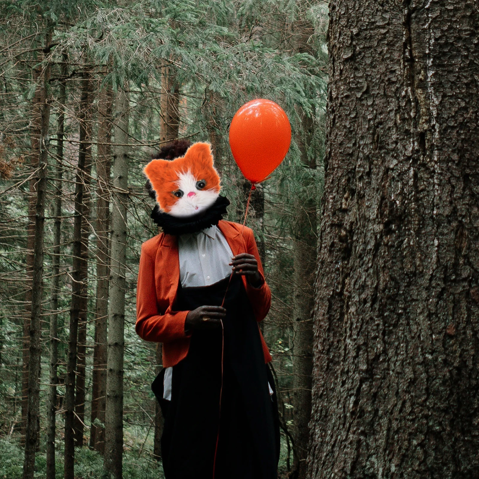 Maschera per gatti Maschere Decorazione facciale Cosplay Prom Halloween per adulti Capelli in plastica Festa in maschera Animale Kawaii