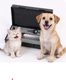 Handheld Veterinary Otoscope for Cats Dogs Ear Inspection Viewer with Light Speculums Magnifier Small Animal Exam Tool