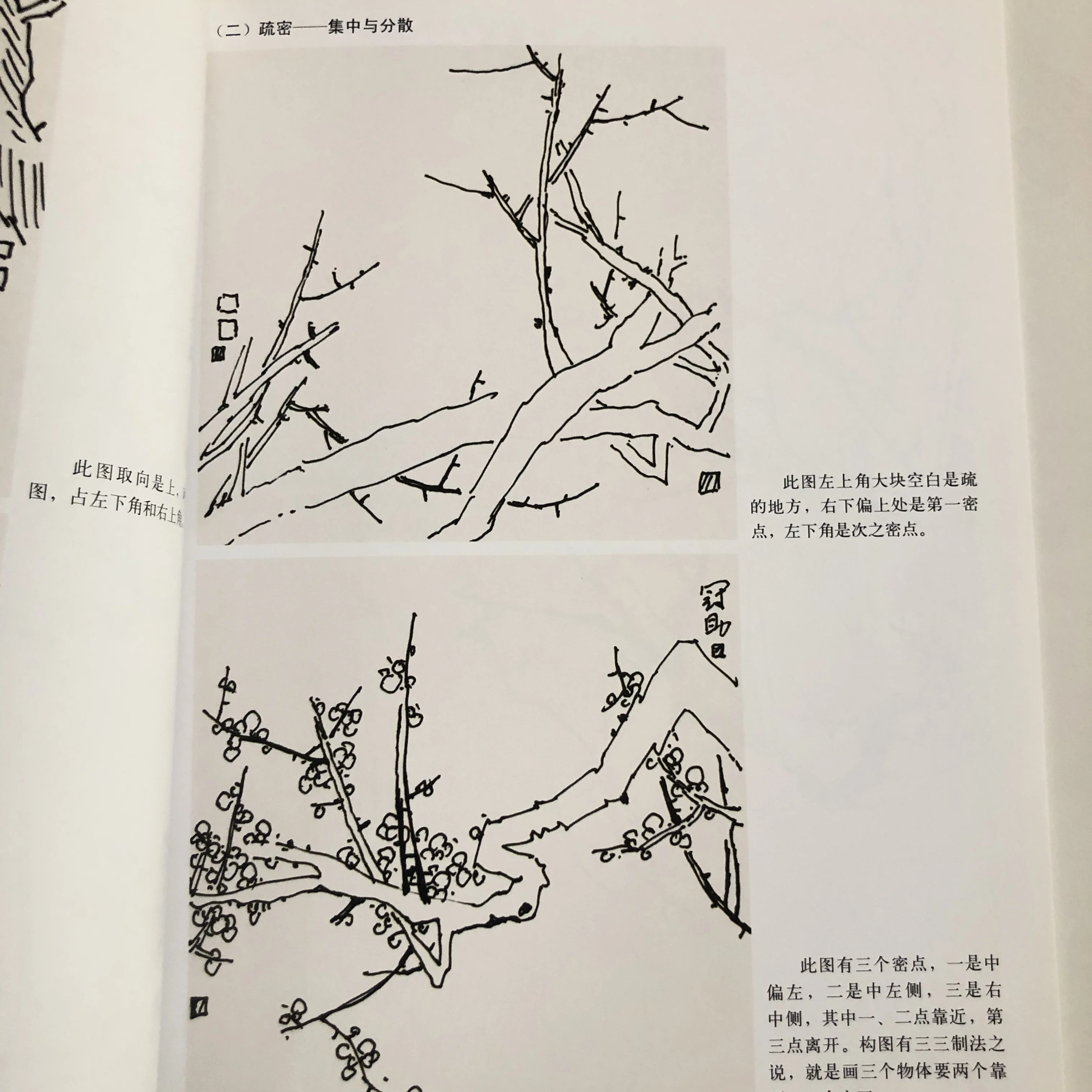 Plum Blossom Coloring Methods: Xieyi Style Ink Wash & Pigment Blending Tutorial