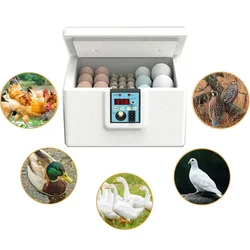 Egg Incubator Automatic Bionic Waterbed Incubator Egg Photo Machine Smart Thermostat Novice Incubation Poultry Turtle Lizard