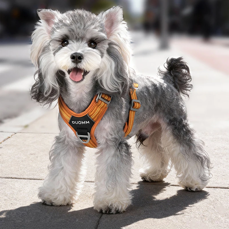 

Explosion Proof Dog Harness Reflective Pet Vest Harness Adjustable for Small Medium Large Dogs Outdoor Walking Training Strap