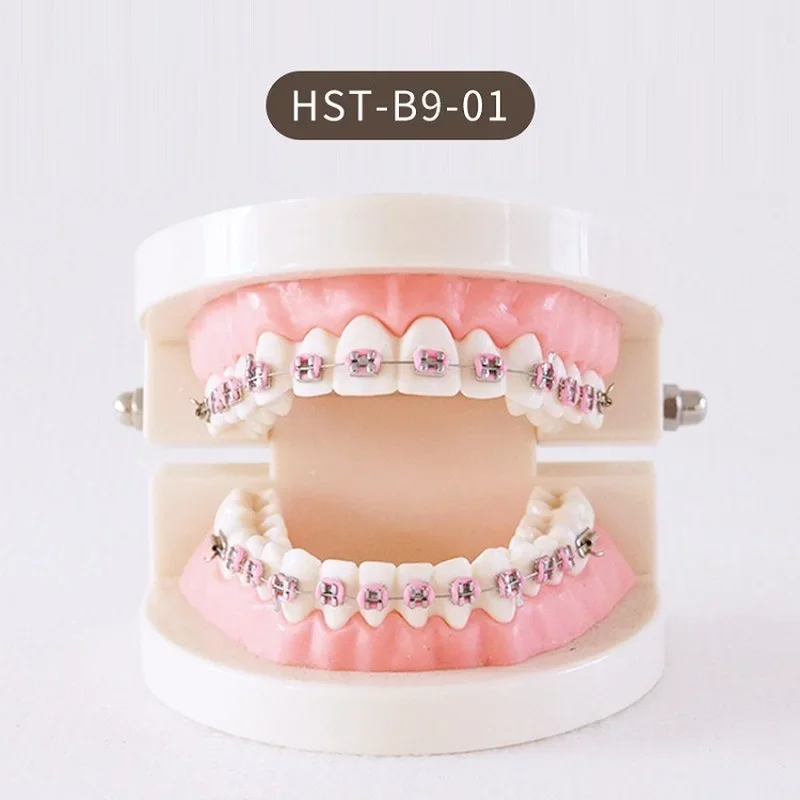 2022 Various Dental Model Teeth Teaching Model Study Removable Orthodontic Implant Tooth Models Resin Dentistry Dentist Material