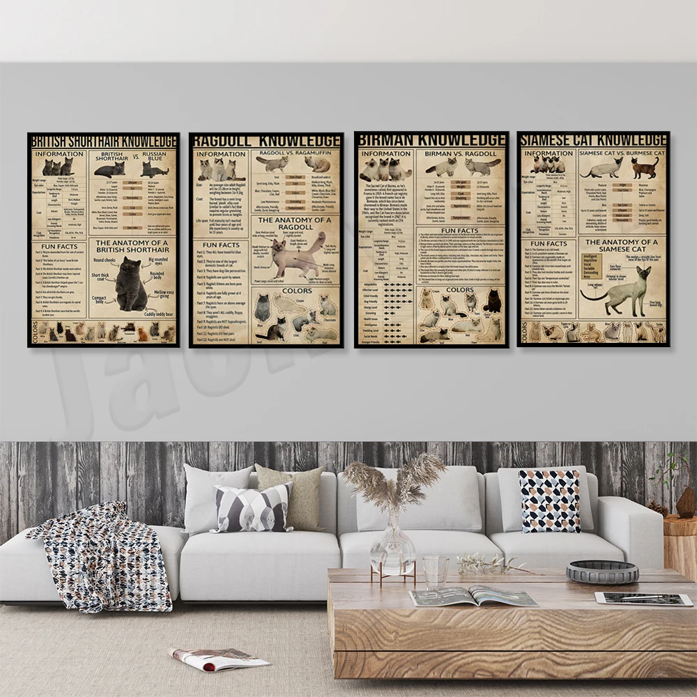 Cat Education Poster, British Shorthair, Ragdoll, Siamese Cat Anatomy Information Poster, Pet Shop Decoration, Cat Gift