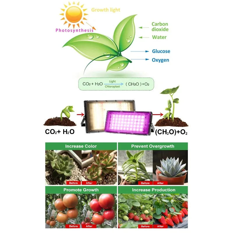 Full Spectrum LED Grow Light, Luz solar imitada, Phyto Lâmpada para Estufa, Iluminação Hidropônica de Crescimento Vegetal, 50W, 100W, 200W, 300W