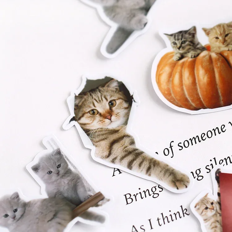 21PCS Korean Cute Cat Stickers Mobile Phone Diy Photo Album Waterproof Translucent Lovely Decorative Material Around A Meow