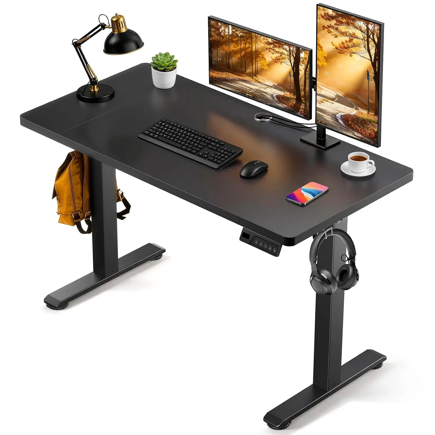 Electric Height Adjustable Standing Desk, 48x24 Inch Sit Stand Desk with 3 Memory Presets, Wood Desktop, , Customized