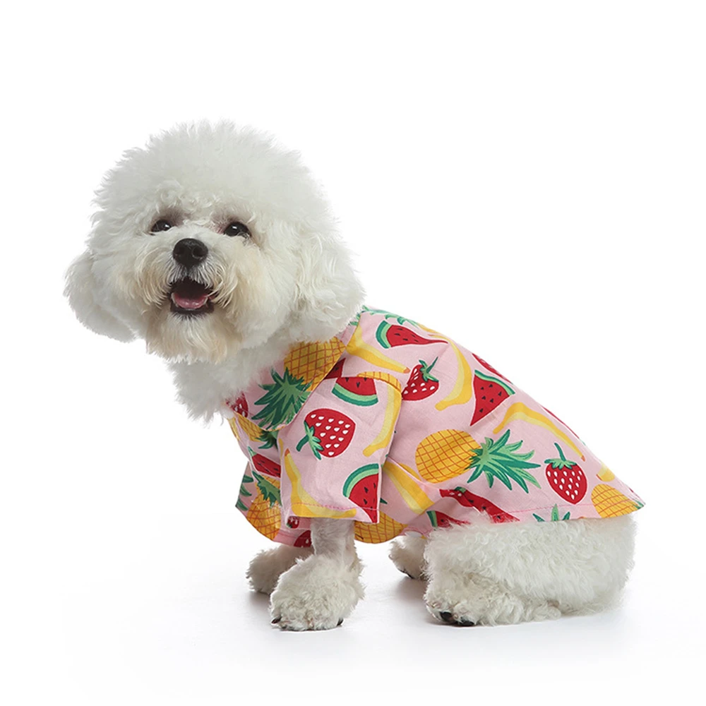 Camisas con estampado de frutas para perros pequeños, ropa para mascotas, camiseta para perros, abrigo fino, chaqueta para cachorros y gatos, trajes