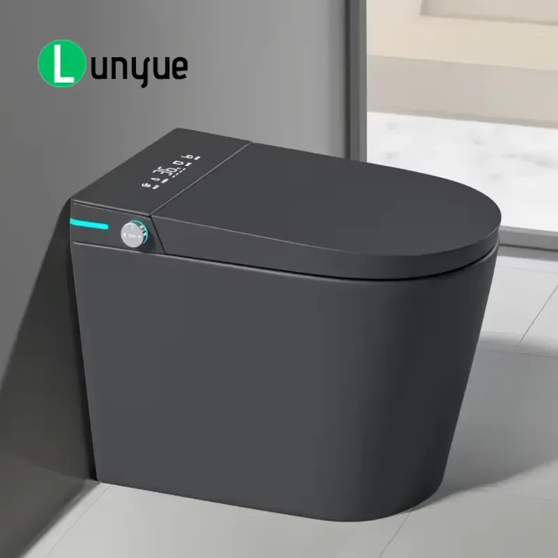 Design Black Automatic Smart Toilet Instant Hot Water Remote Control Seat Heating Floor to Ceiling Small Bathroom WC