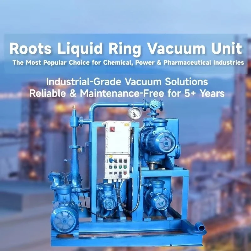 Forlongvity Durable Low Maintenance Roots Vacuum Pump System for Printing Industry Applications