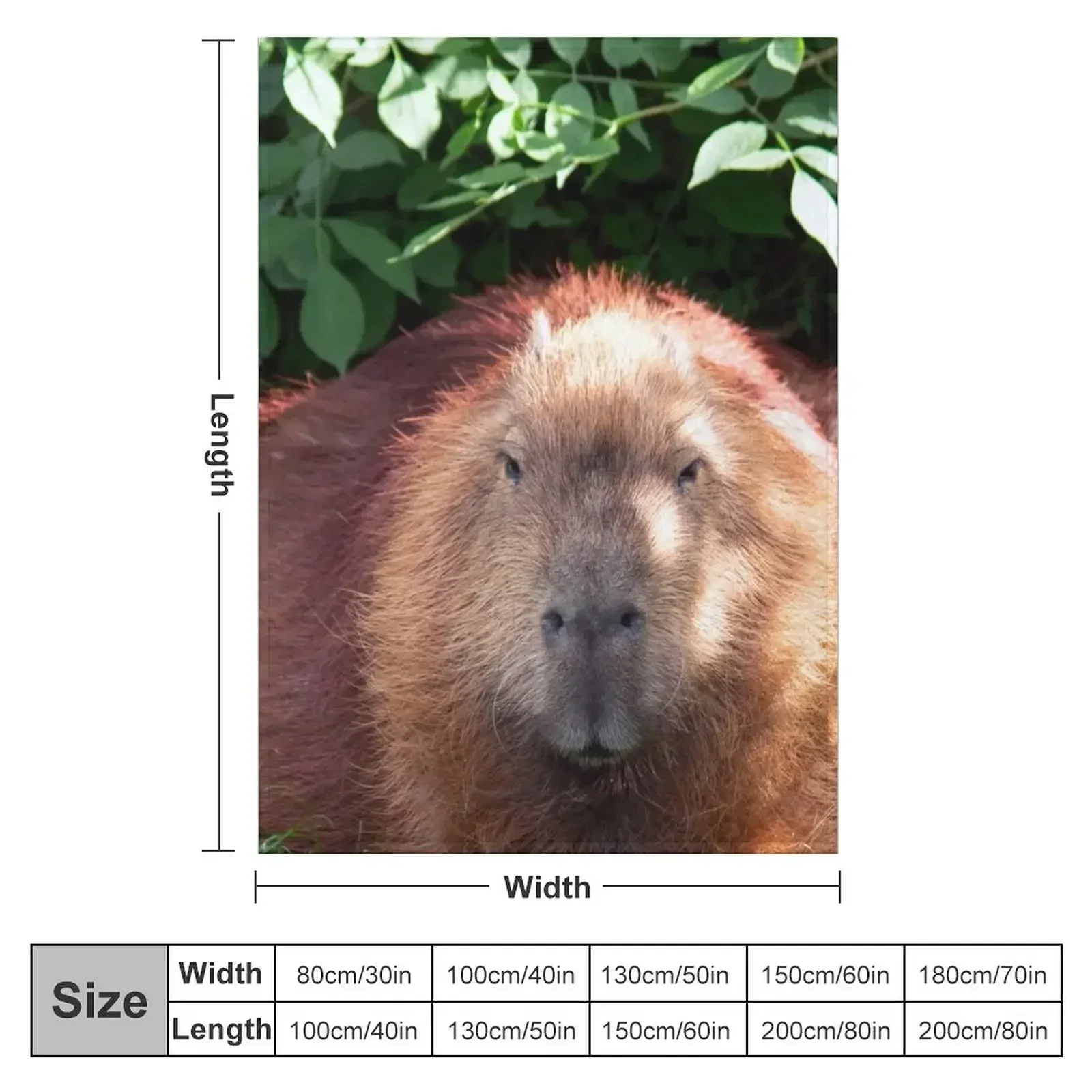 Capybara Throw Blanket Extra Large Throw Luxury Thicken For Decorative Sofa Soft Blankets