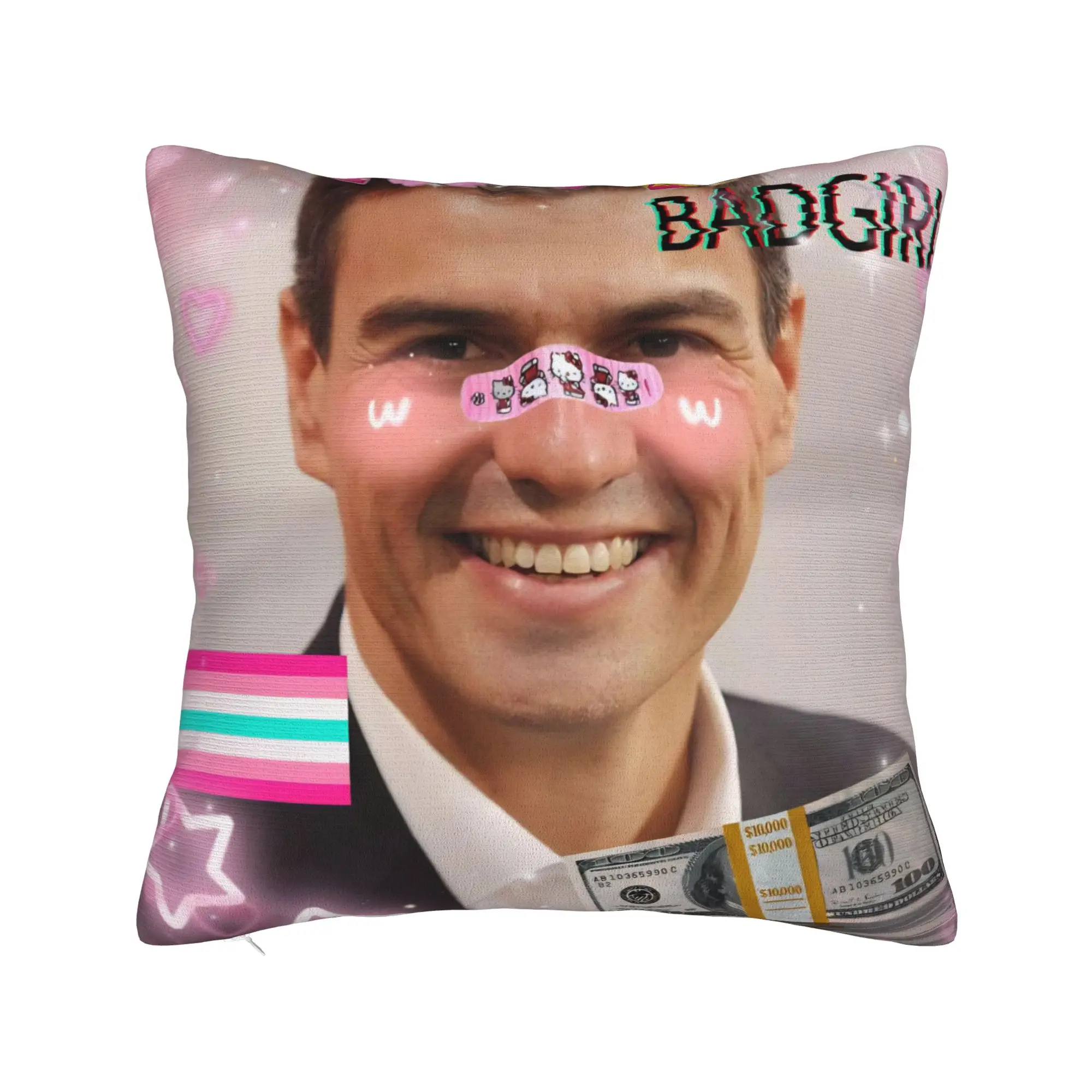 Pillow Case Pedro Sanchez Spain PSOE  Pink Design  Pillow Cover For Living Room Chair Funny Pillowcases