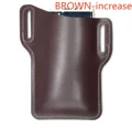 BROWN-BIG