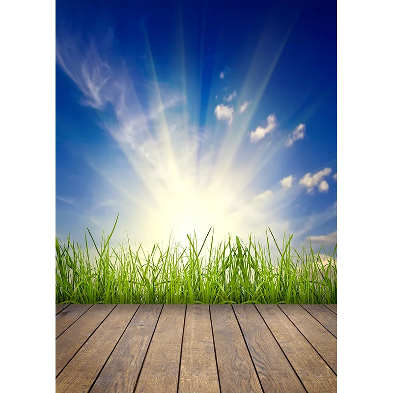 Landscape Spring Forest  Photography Backgrounds Sky Sea Scenery Baby Portrait Photo Backdrops Studio 210309TFX-03