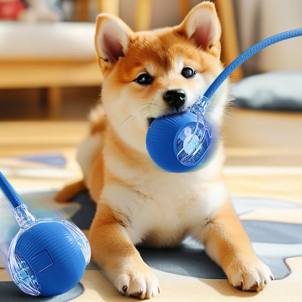 Automatic Rolling Ball Interactive Ball Cat Toys Pet Supplies Electric Dog Training Cat Teaser simulated Rat Rechargeable - Image 3