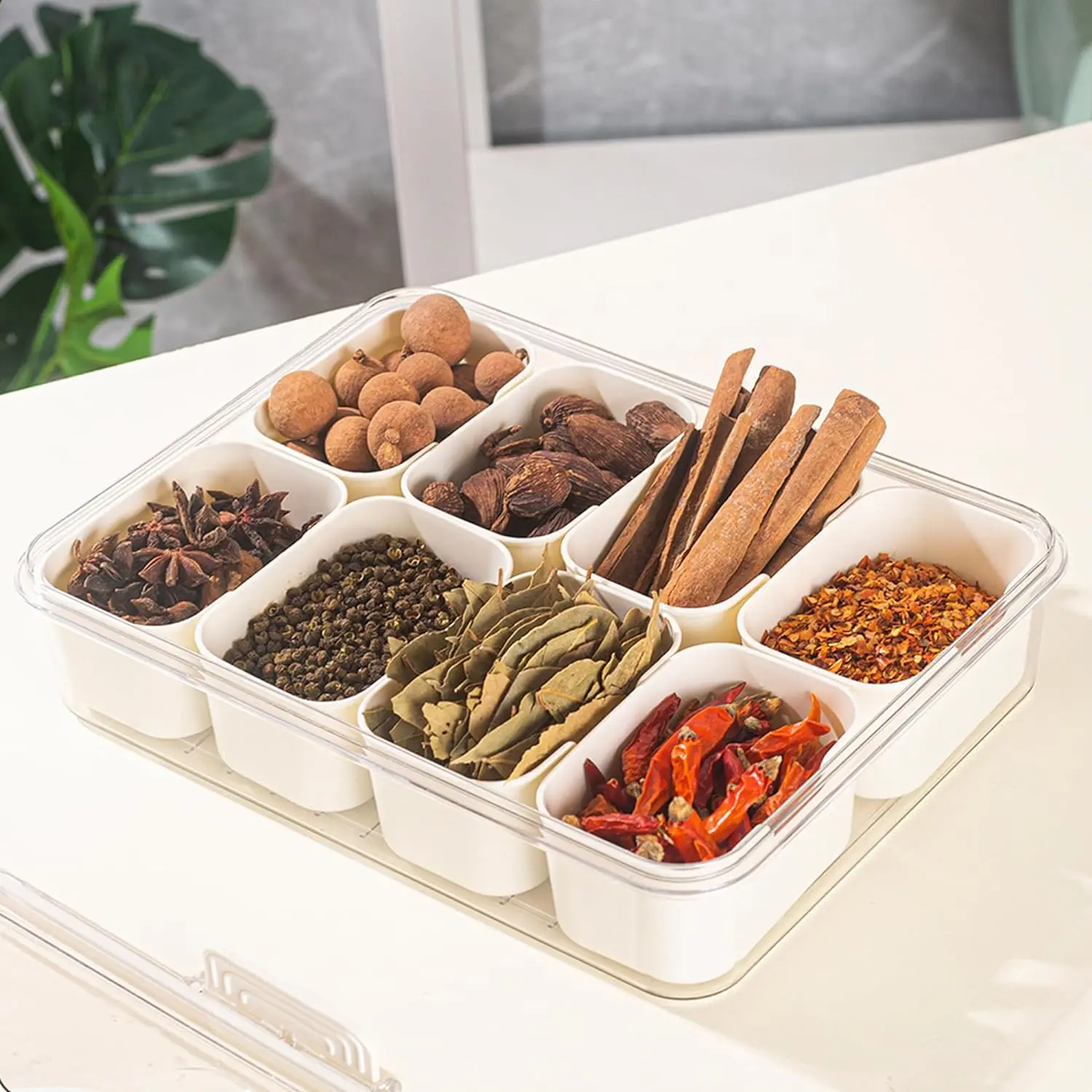 Divided Serving Tray with Handle, 8 Compartments Snack Box for Candy, Nuts, Cookies, Fruit, Snacks, Party Favor, Wedding