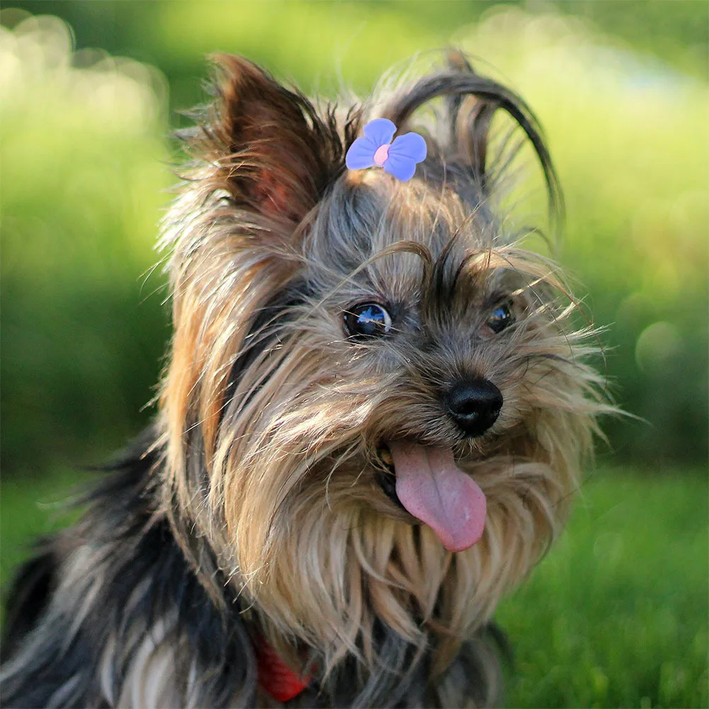 

20Pcs Dog Hair Bows Bowknot Rubber Bands Pet Accessories Small Long-Haired Dogs Grooming Holiday Events Cute Dog Hair